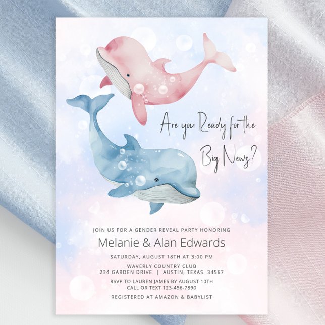 Bebê Beluga Sexo de Baleia Convite de festas Revel (Cute whale gender reveal invitation with adorable pink and blue baby beluga whales.)