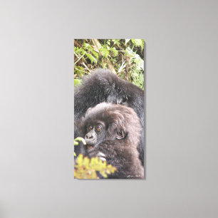 Bebê do gorila de montanha 20 x 40 dentro. Canvas