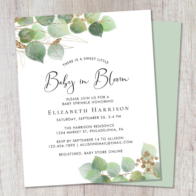 Bebê do orçamento em sangue Eucalyptus Baby Sprink (Criador carregado)