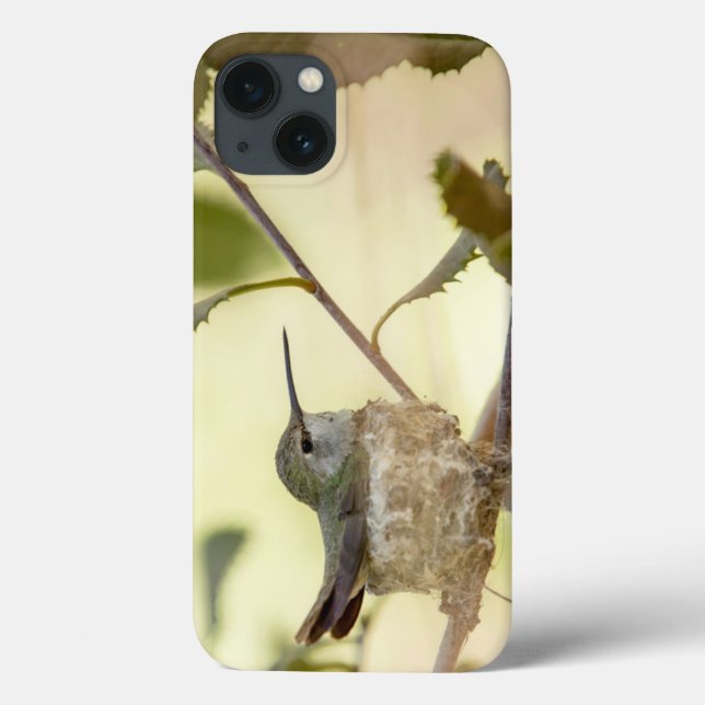 Bebê fêmea no ninho (Verso)