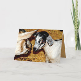 Bebê Goat e mãe - Cartão de Saudação de Vazio
