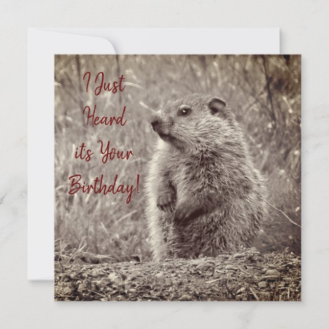 Bebê Groundhog em NEGRO e BRANCO Aniversário (Frente)