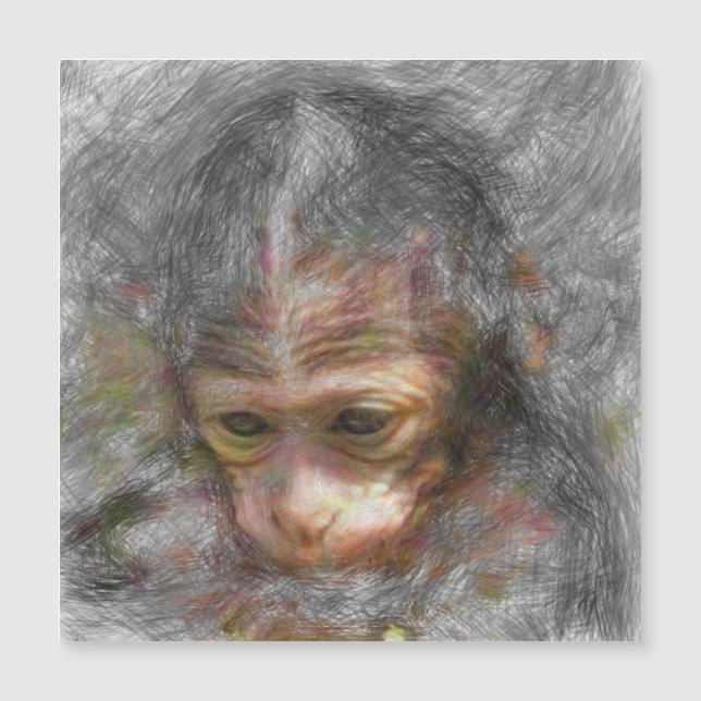 bebê macaco-animal artístico (Frente)