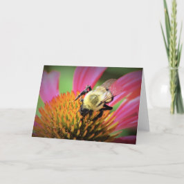 Bebê no Coneflower, cartão