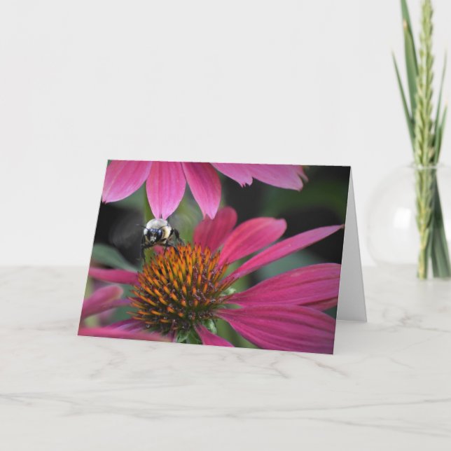 Bebê no Coneflower, cartão (Frente)