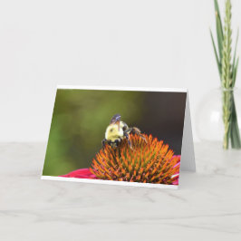 Bebê no Coneflower, cartão