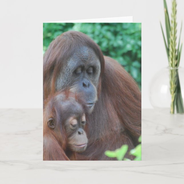 Bebê Orangutan com Cartão de Saudação Mãe (Frente)