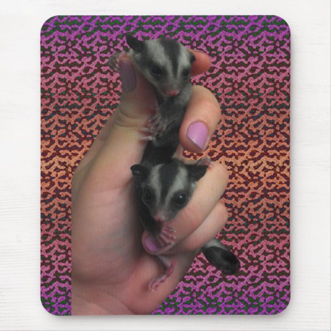 Bebê Sugar Glider Mousepad (Frente)
