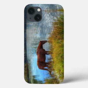 Bebendo De Chestnut Stallion Em Scenic Lake Photo
