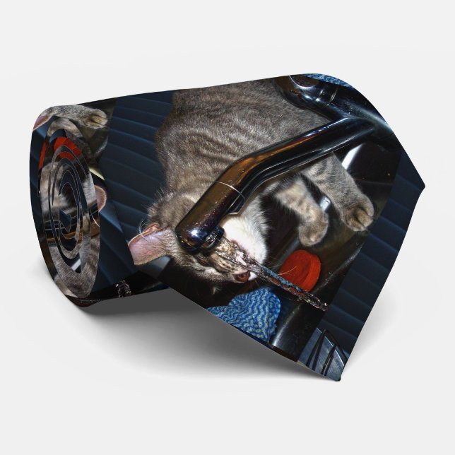 Bebendo De Gato Engraçado Da Torneira, Gravata De  (Rolled)