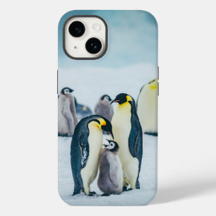 Bebês Mais Pobres Alimentos para pinguins bebês