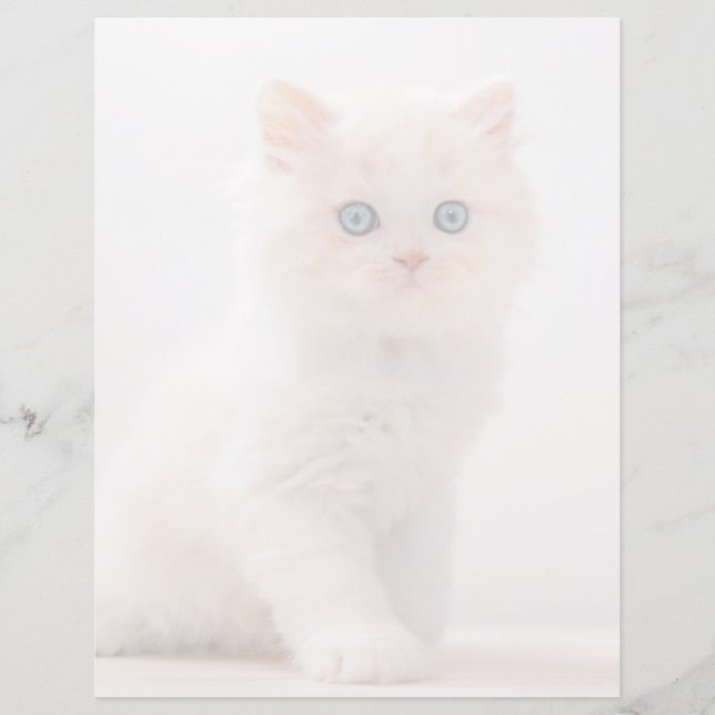 Bebês Mais Pobres | Azul-Kitten (Frente)