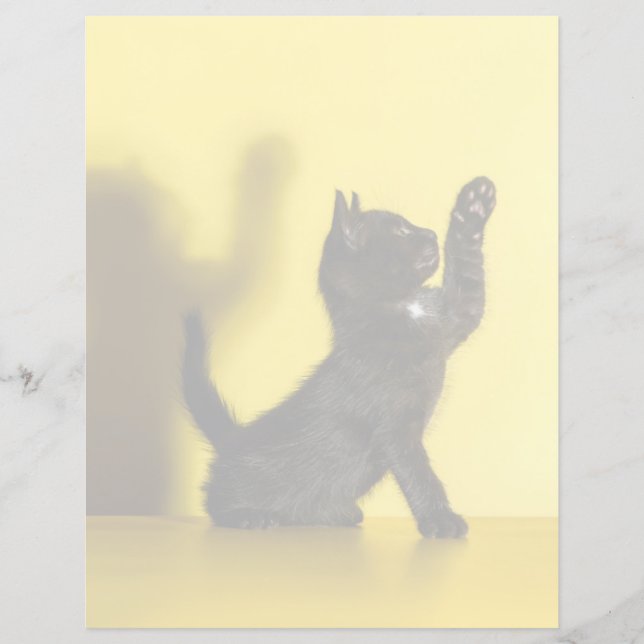 Bebês Mais Pobres | Brinquedo preto (Frente)