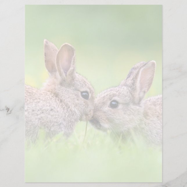 Bebês Mais Pobres | Bunny Kiss (Frente)