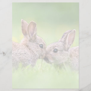 Bebês Mais Pobres Bunny Kiss