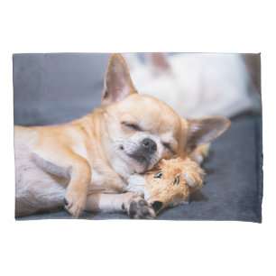 Bebês Mais Pobres Cão Chihuahua de cabelos verme