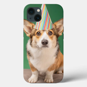 Bebês Mais Pobres Corgi Birthday Puppy