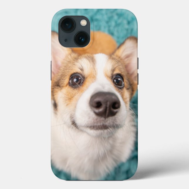 Bebês Mais Pobres | Corgi Doce Face Puppy (Verso)