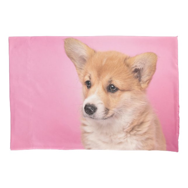 Bebês Mais Pobres | Corgi Puppy a rosa (Frente)