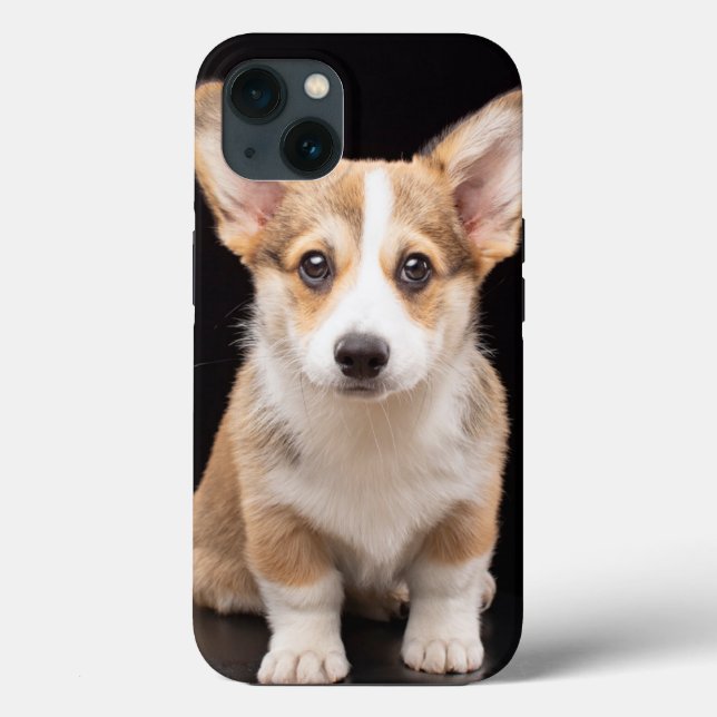 Bebês Mais Pobres | Corgi Puppy Em Pé (Verso)