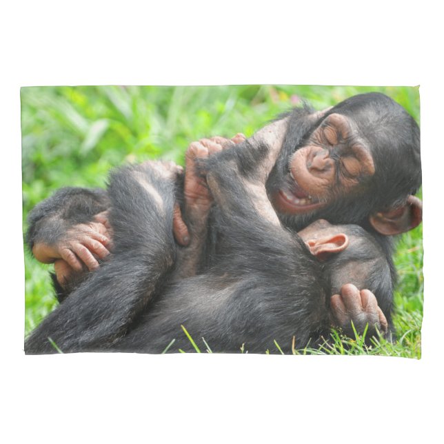 Bebês Mais Pobres | Dois jovens chimpanzés (Frente)