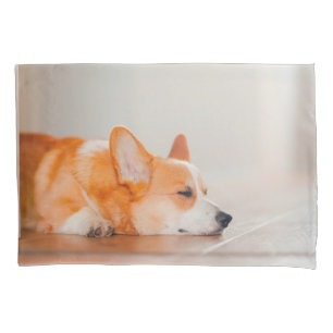 Bebês Mais Pobres Dormência De Corgi