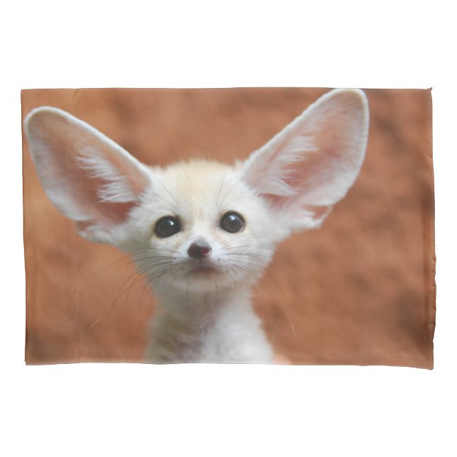 Bebês Mais Pobres | Fennec Fox Pup (Frente)