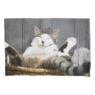 Bebês Mais Pobres Gato na cama