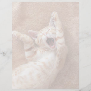 Bebês Mais Pobres Ginger Kitten Yawning