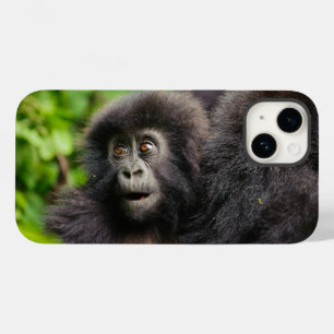 Bebês Mais Pobres   Jovens Montanhas Gorilla