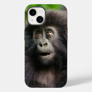 Bebês Mais Pobres Jovens Montanhas Gorilla