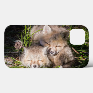 Bebês Mais Pobres Kits De Raposa Vermelha Para B