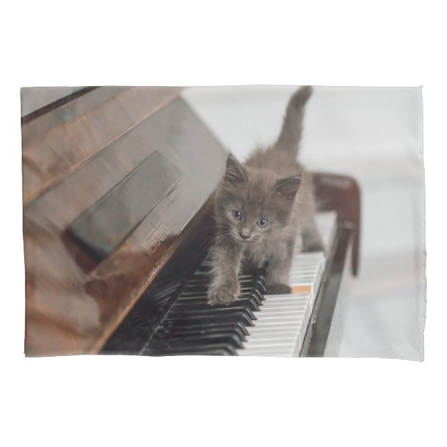 Bebês Mais Pobres | Kitten on Piano (Frente)