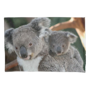 Bebês Mais Pobres Koala e Joey