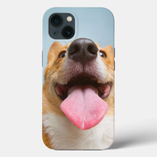 Bebês Mais Pobres Língua Corgi