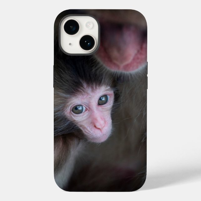 Bebês Mais Pobres | Macaco Baby Macaque e Mãe (Verso)