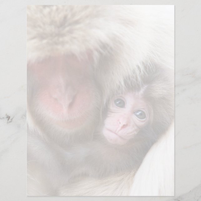 Bebês Mais Pobres | Macaco-neve (Frente)