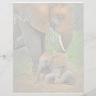 Bebês Mais Pobres Mamãe Elefante e Bebê