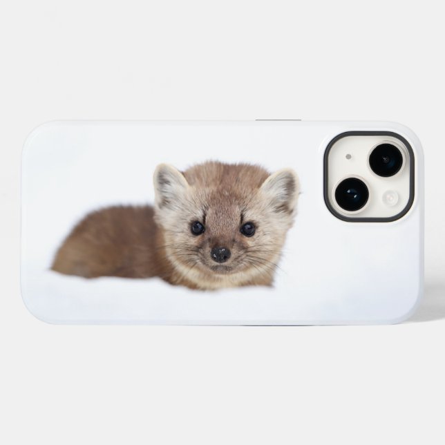 Bebês Mais Pobres | Pine Marten (Verso (horizontal))
