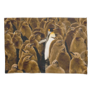 Bebês Mais Pobres Pinguim Entre Jovens