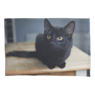 Bebês Mais Pobres Retrato de um Gato Negro