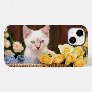 Bebês Mais Pobres   Rosas de Kitten e Amarelo