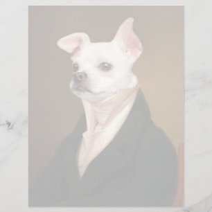 Bebês Mais Pobres Royal Chihuahua Portrait