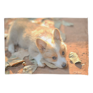 Bebês Mais Pobres Shy Corgi