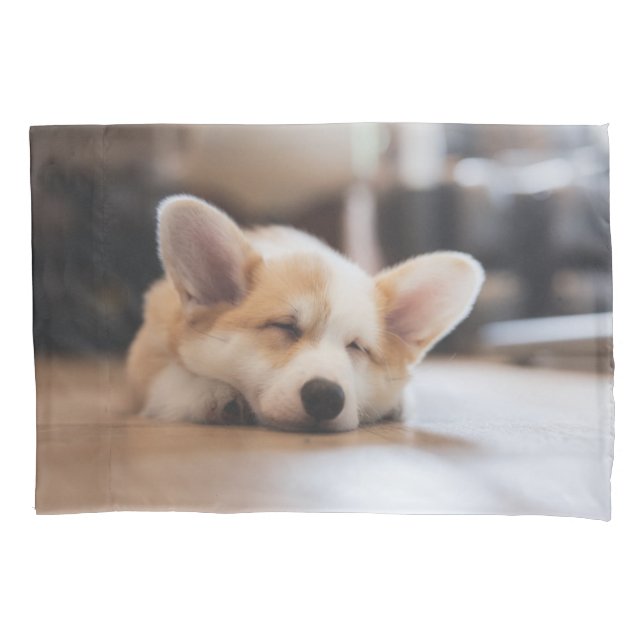 Bebês Mais Pobres | Sleepy Corgi (Frente)