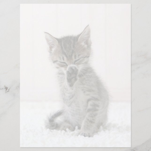 Bebês Mais Pobres | Tabby Kitten De Licença (Frente)