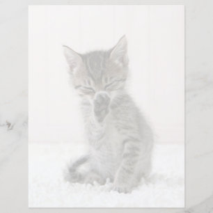 Bebês Mais Pobres Tabby Kitten De Licença