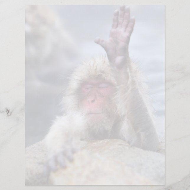 Bebês Mais Pobres | Tecido macaco-neve (Frente)