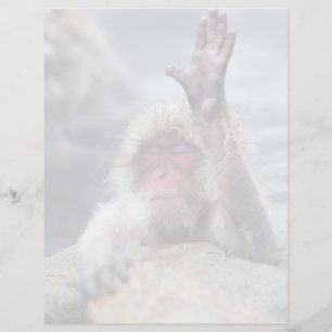 Bebês Mais Pobres Tecido macaco-neve