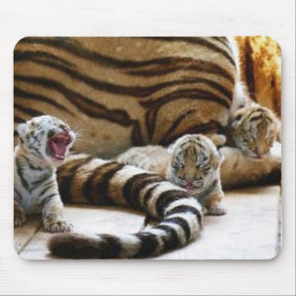 Bebês Mousepad do tigre